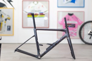 Rámová sada BMC Teammachine SLR 01 Silver Carbon/Carbon vel. 54 Promo